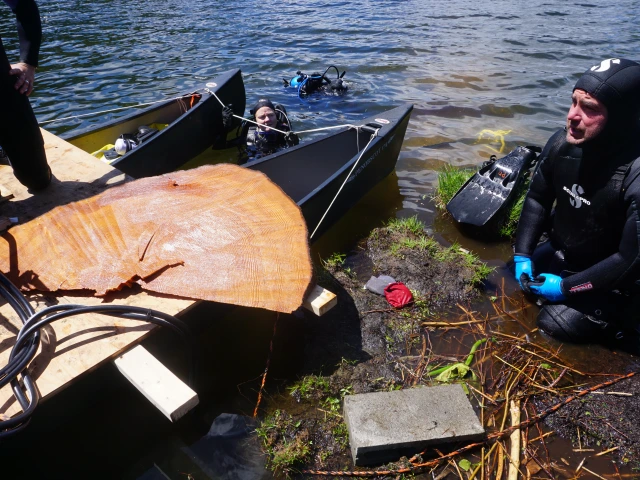 Tree rings reveal a new kind of earthquake threat to the Pacific Northwest