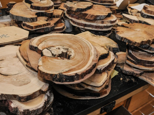 Stecked sections of prepared and mounted cross-sections