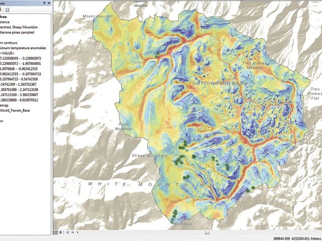 Bristlecone pine research and GIS