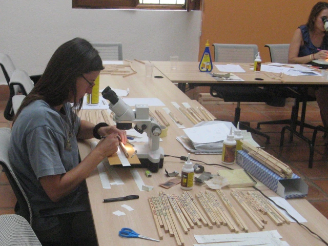 2013 International Summer School (Russia)