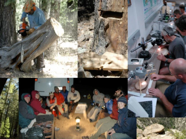 Various field and lab images combined