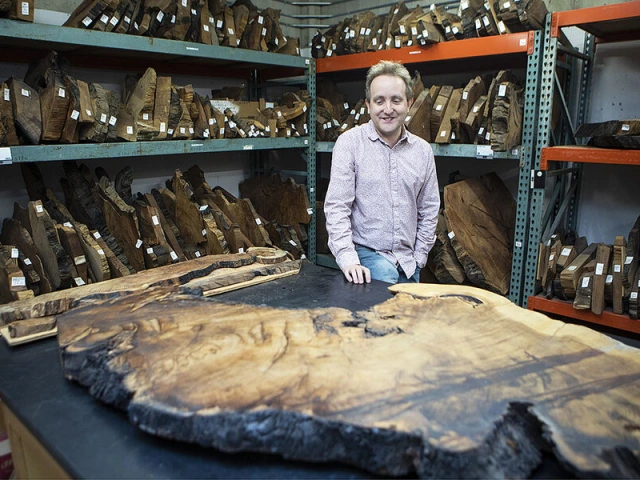 The tales trees tell – from history to climate change