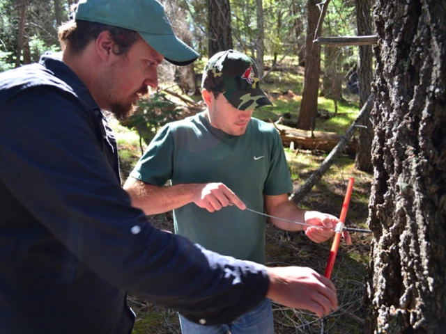 Extracting an increment core sample