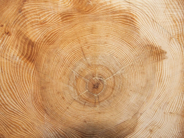 New publication: PDSI Reconstruction From Tree Rings in Central Siberia (Russia)