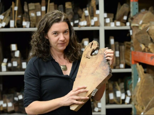 Valerie Trouet named Scientific Director of the new Belgian Center for Climate Expertise