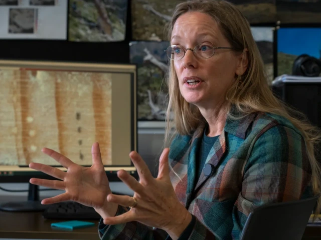 Margaret Evans' tree-ring research shows a warmer, drier Arizona