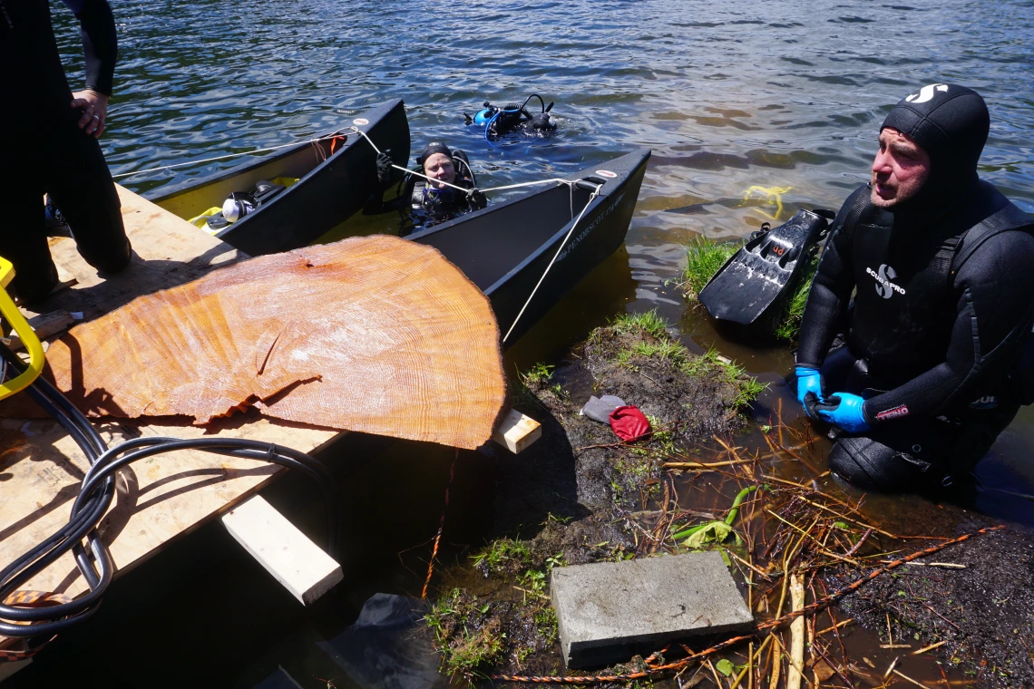 Tree rings reveal a new kind of earthquake threat to the Pacific Northwest