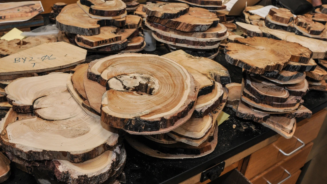 Stecked sections of prepared and mounted cross-sections