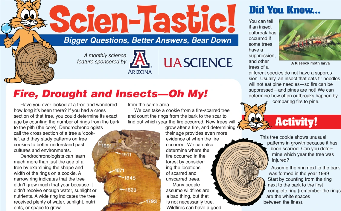 detail of the newsletter