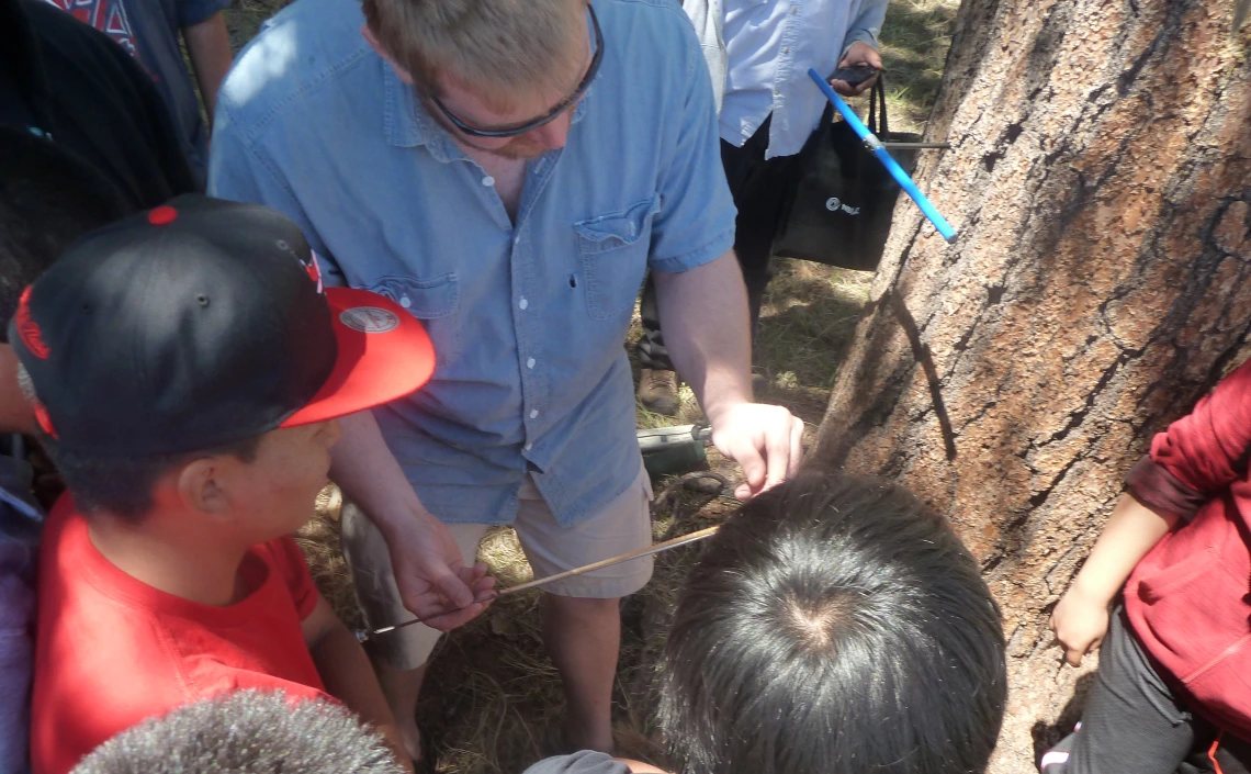 Outreach meets tree-ring research