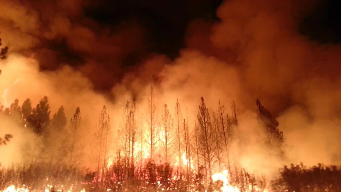 Rim Fire near Yosemite Nationa Park, California