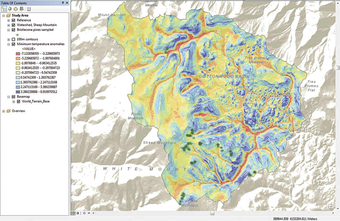 Bristlecone pine research and GIS
