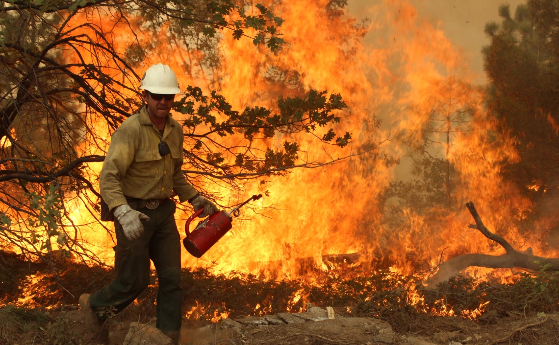 Drip torch in use at the 2013 Rim Fire