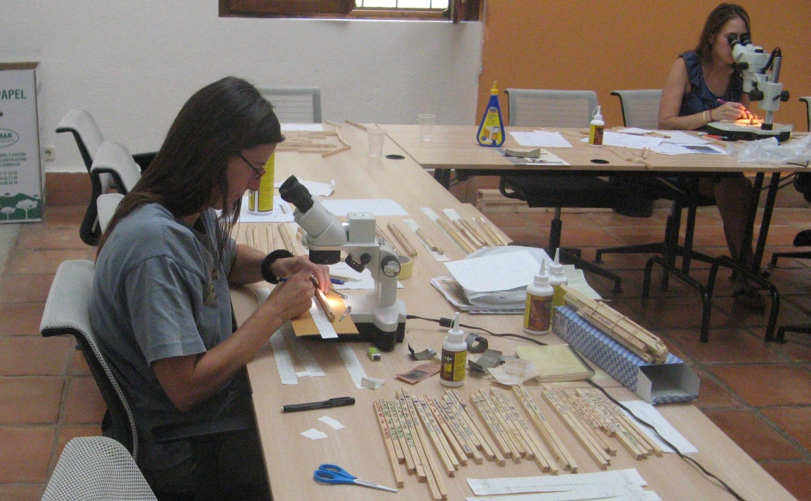 2013 International Summer School (Russia)