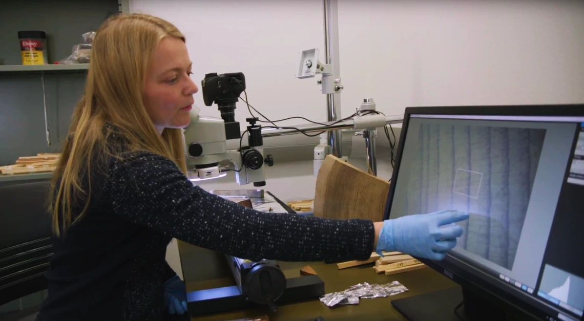 The latest collaboration of ¹⁴C and tree-ring dating