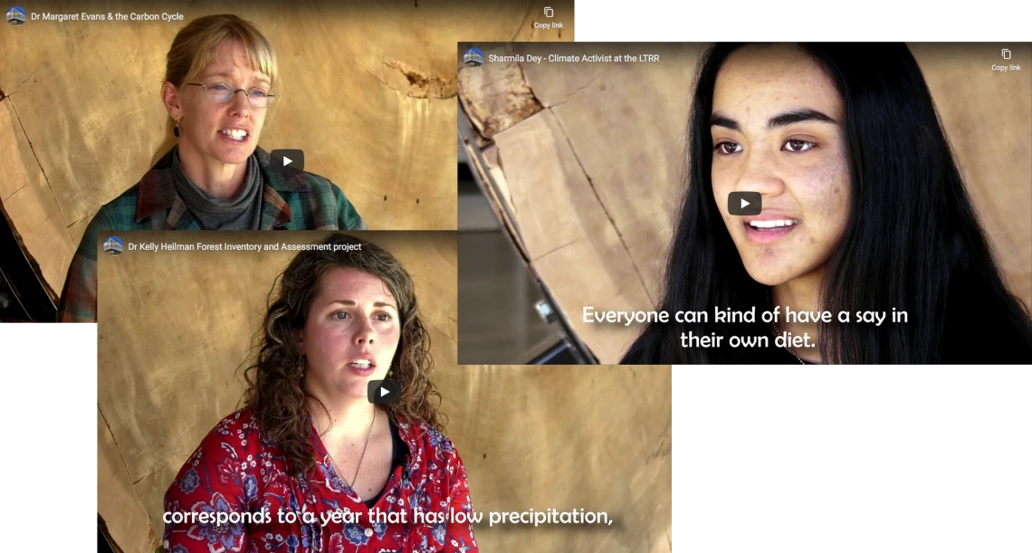 Overlapping stills from the videos.