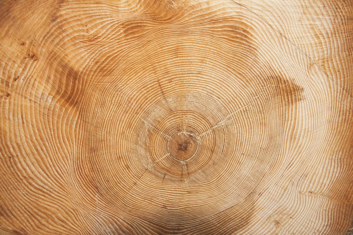New publication: PDSI Reconstruction From Tree Rings in Central Siberia (Russia)