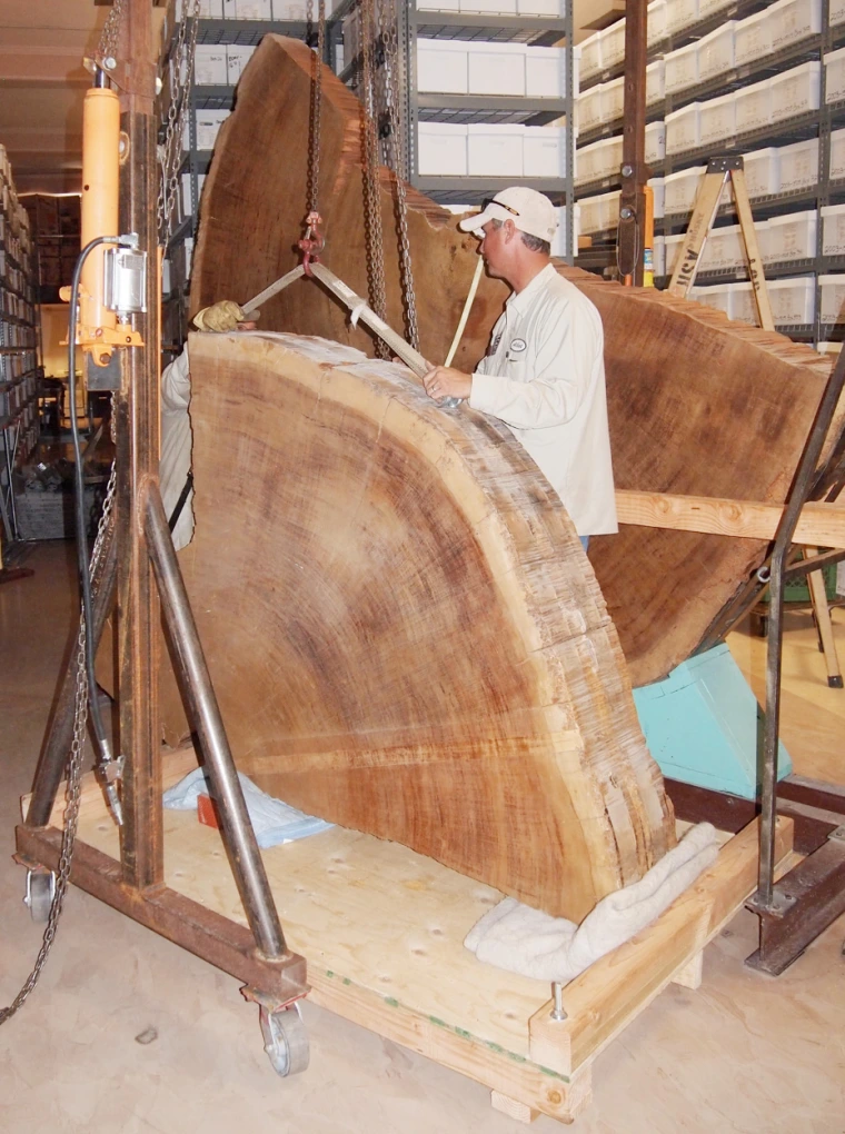All upper pieces lowered to the floor