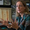 Margaret Evans' tree-ring research shows a warmer, drier Arizona